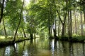Coulon Marais Poitevin